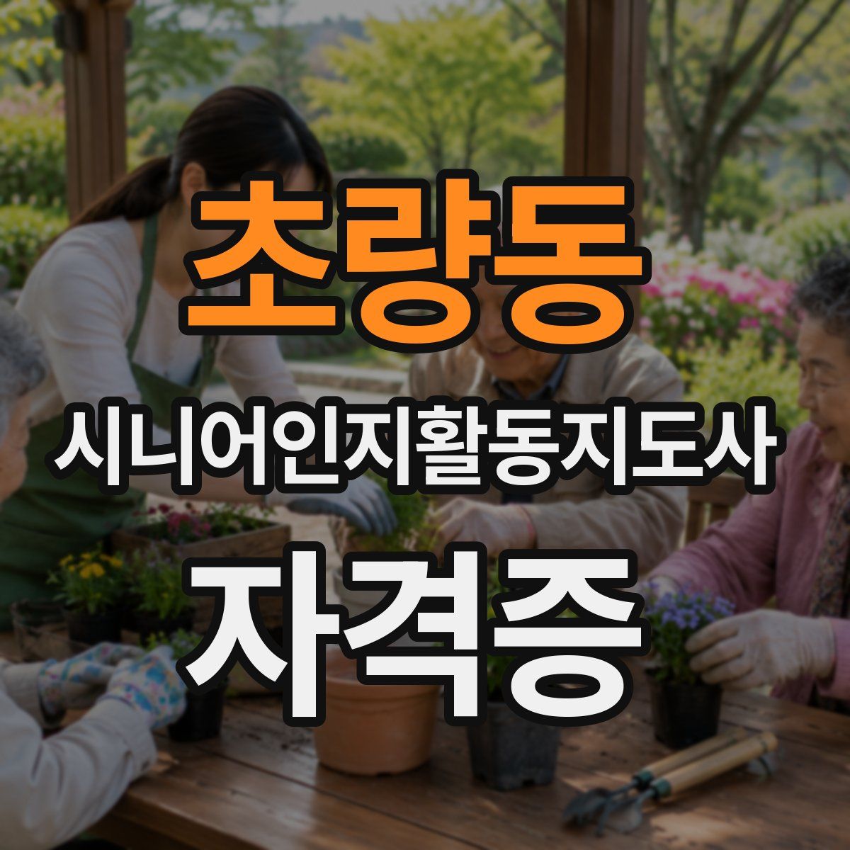 초량동 시니어인지활동지도사 자격증