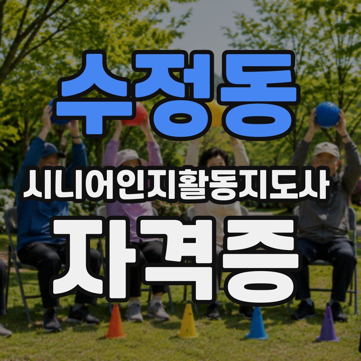 수정동 시니어인지활동지도사 자격증
