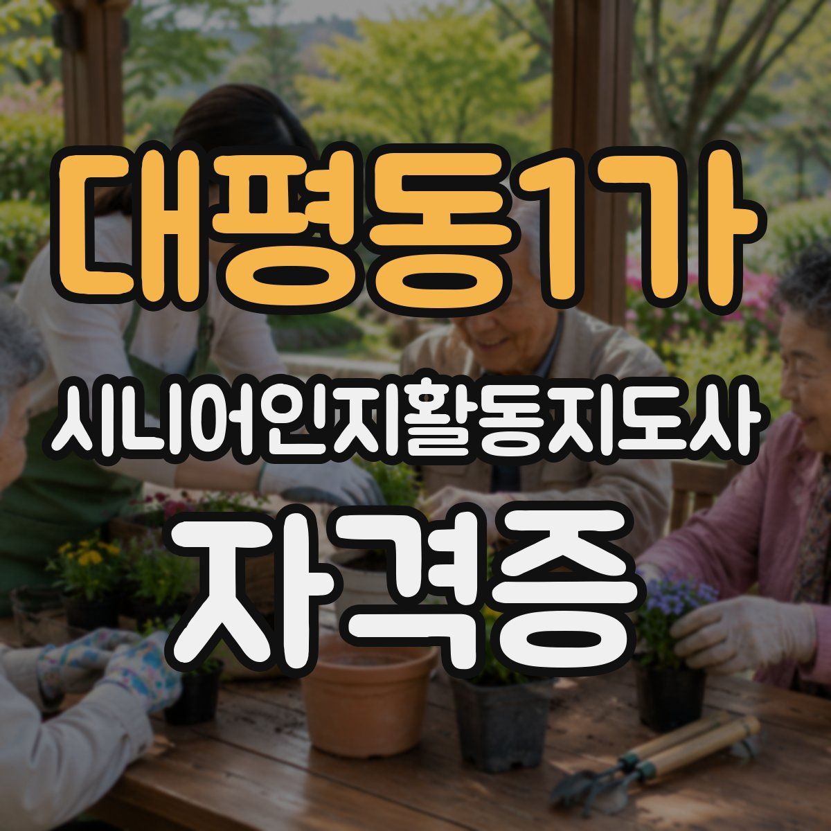 대평동1가 시니어인지활동지도사 자격증