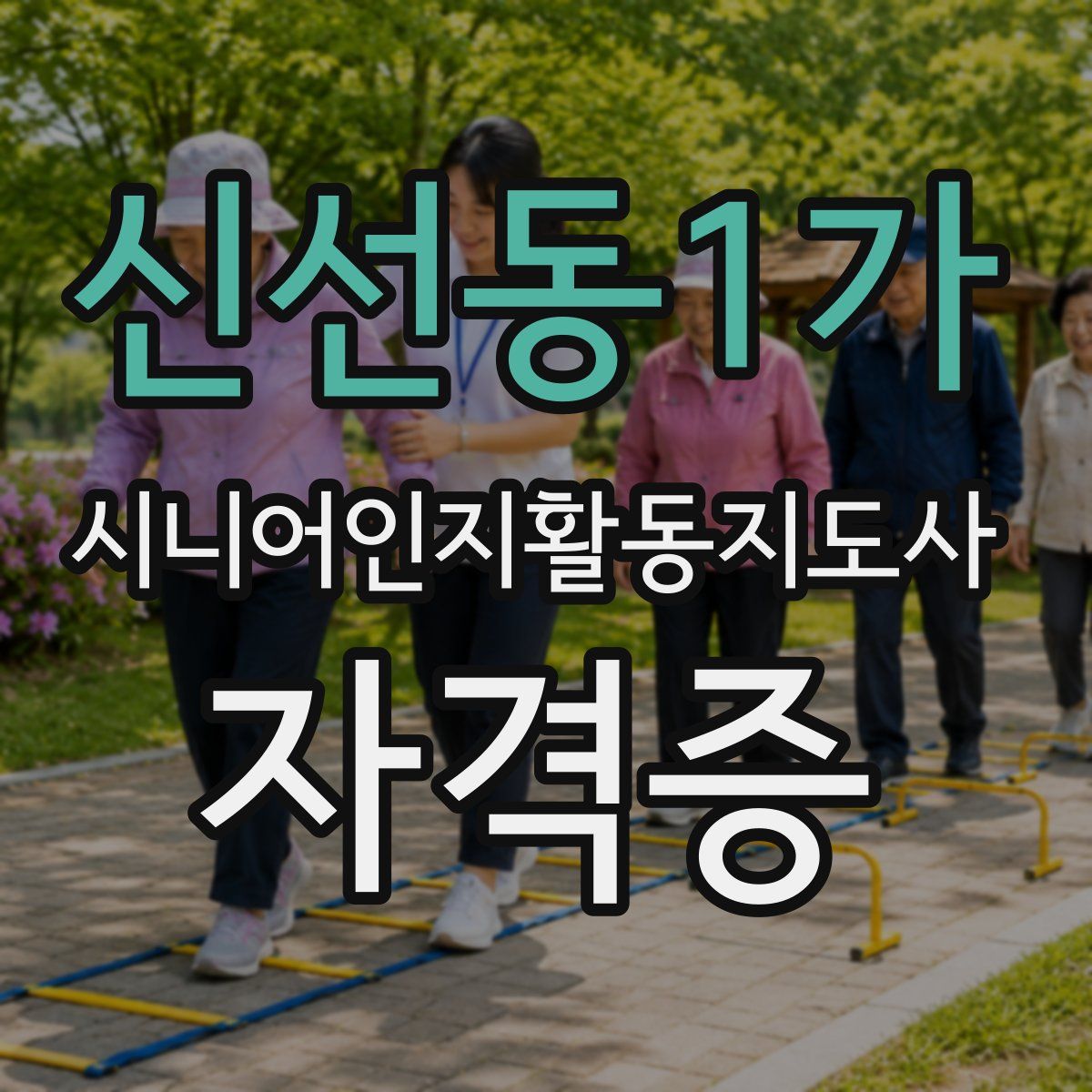 신선동1가 시니어인지활동지도사 자격증