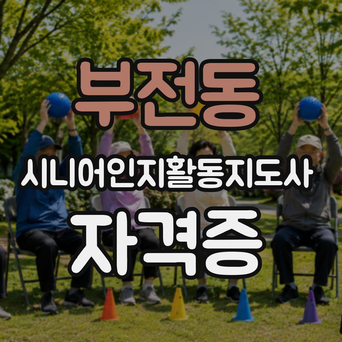 부전동 시니어인지활동지도사 자격증