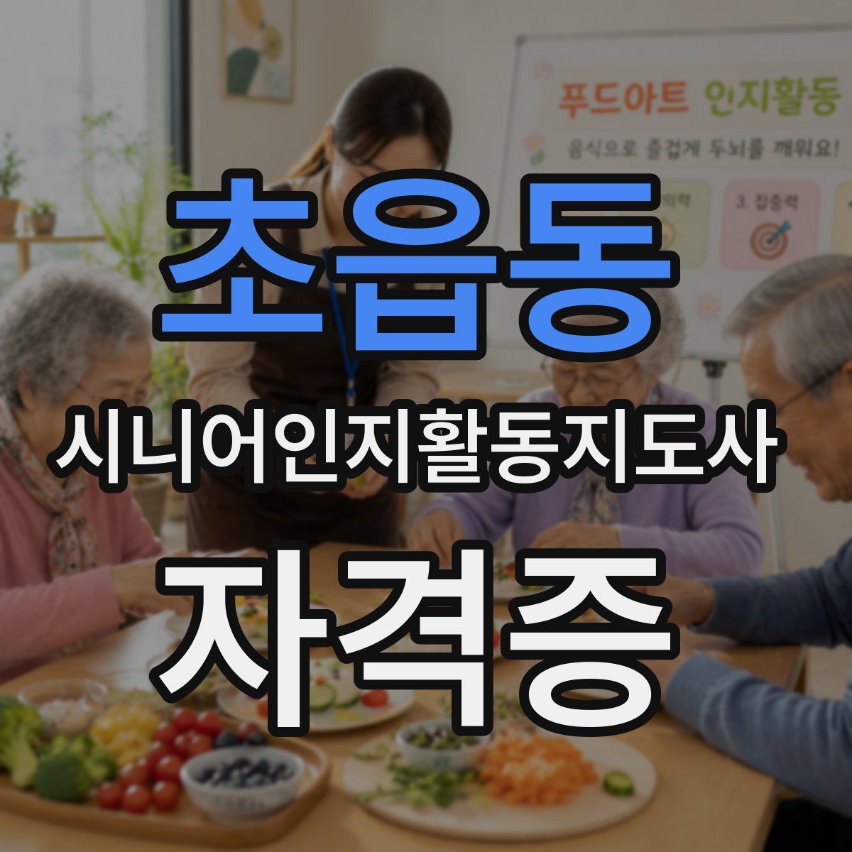 초읍동 시니어인지활동지도사 자격증