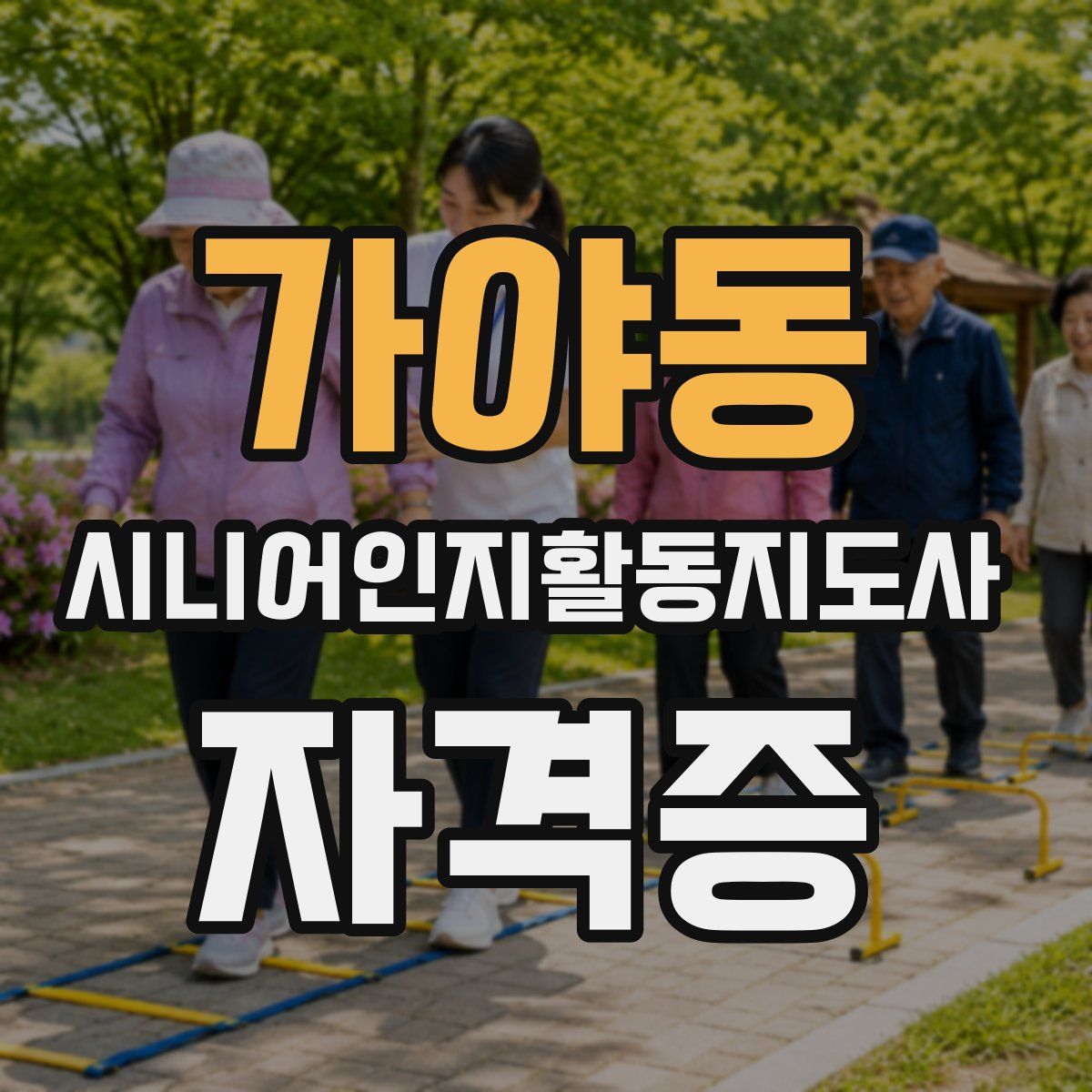 가야동 시니어인지활동지도사 자격증