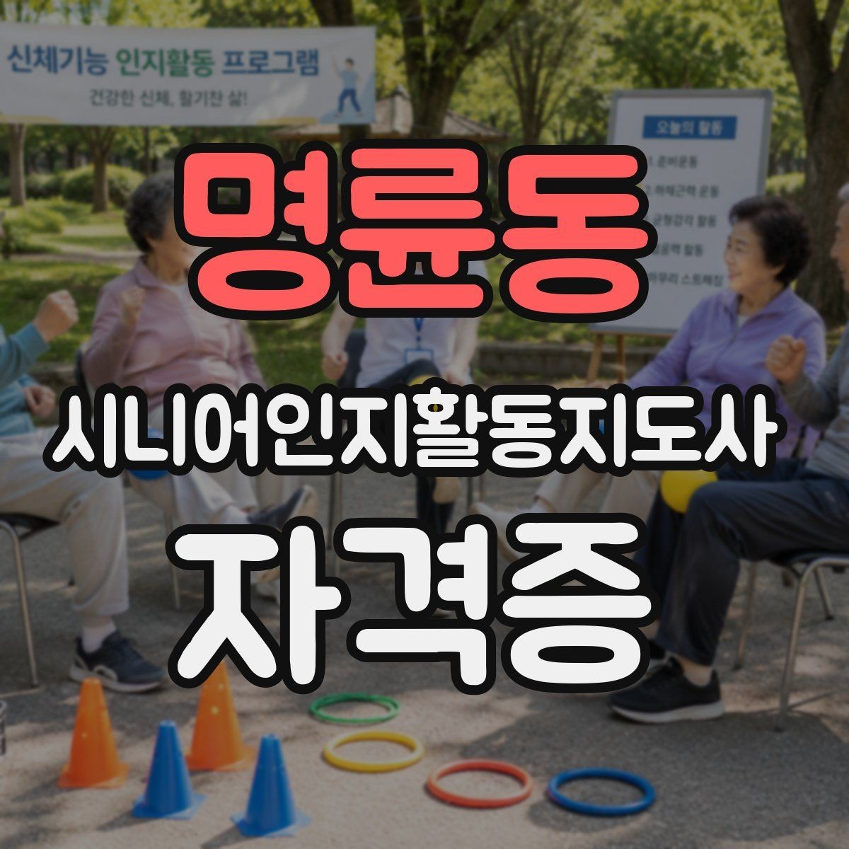 명륜동 시니어인지활동지도사 자격증 접수부터 수료까지 한눈에 보기