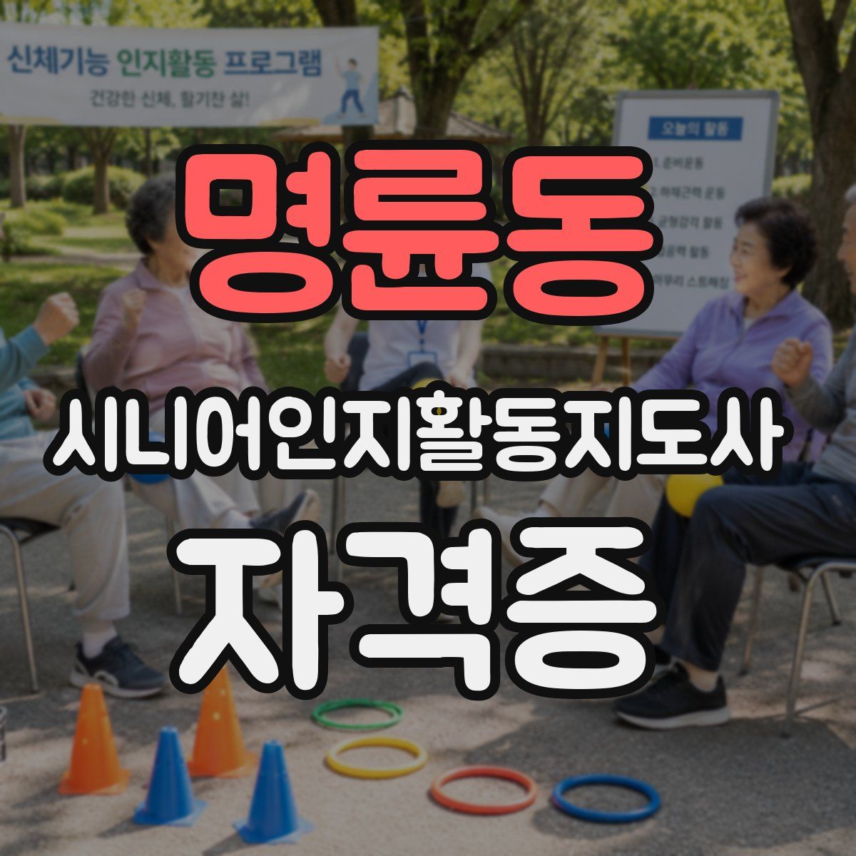 명륜동 시니어인지활동지도사 자격증