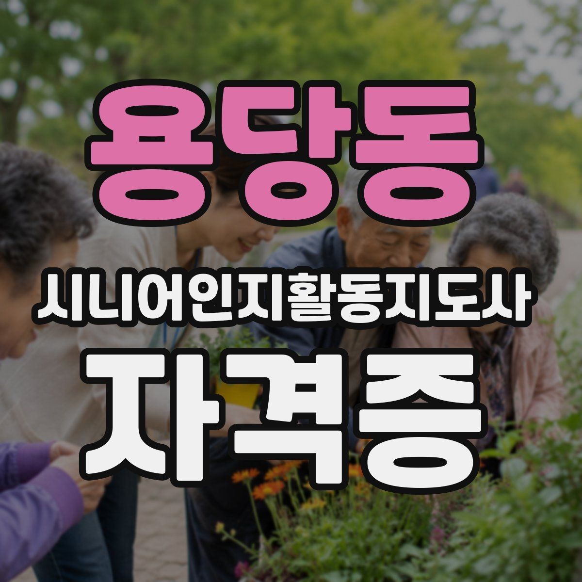 용당동 시니어인지활동지도사 자격증 활용 계획 세우기