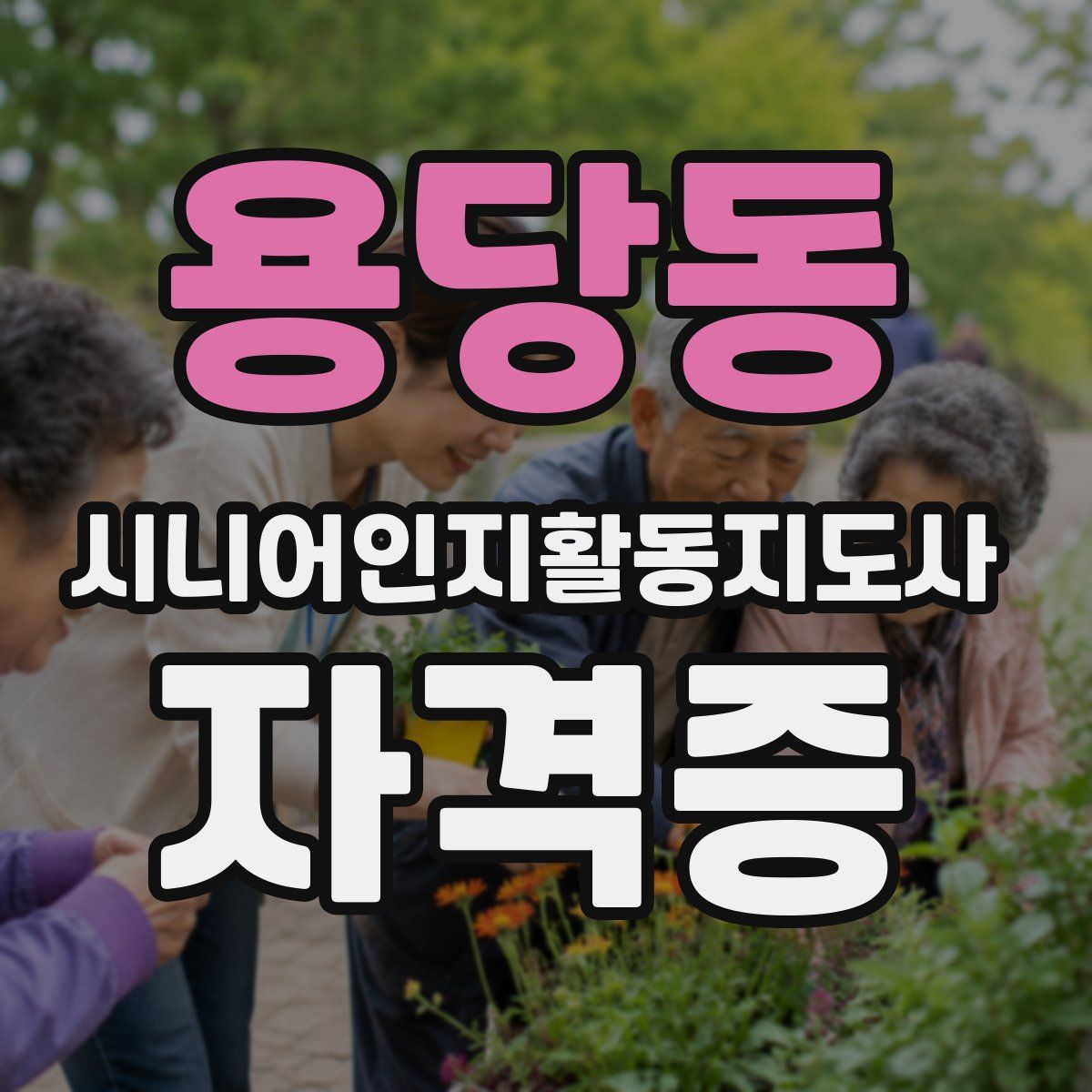 용당동 시니어인지활동지도사 자격증