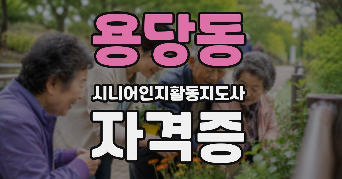 용당동 시니어인지활동지도사 자격증