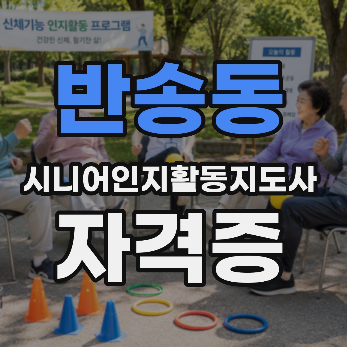 반송동 시니어인지활동지도사 자격증