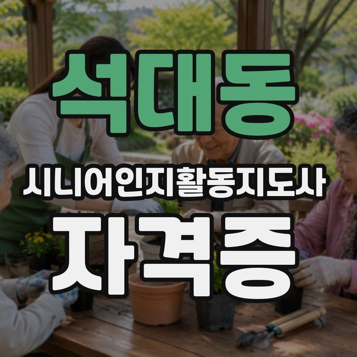 석대동 시니어인지활동지도사 자격증 자격 취득 이후 활용처 정리