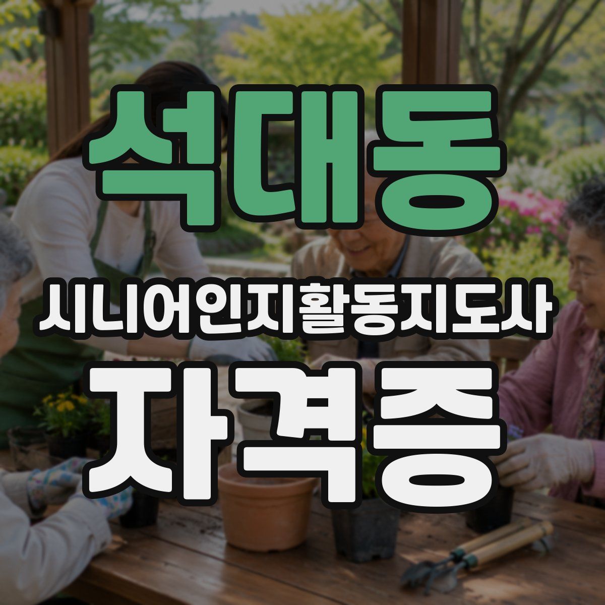 석대동 시니어인지활동지도사 자격증
