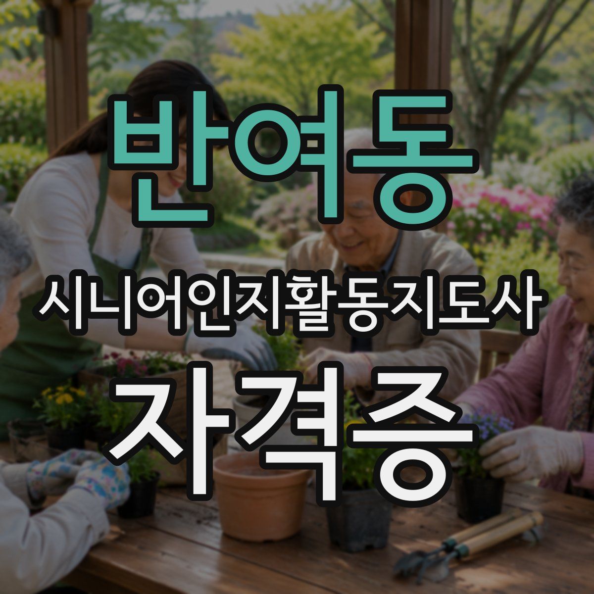 반여동 시니어인지활동지도사 자격증