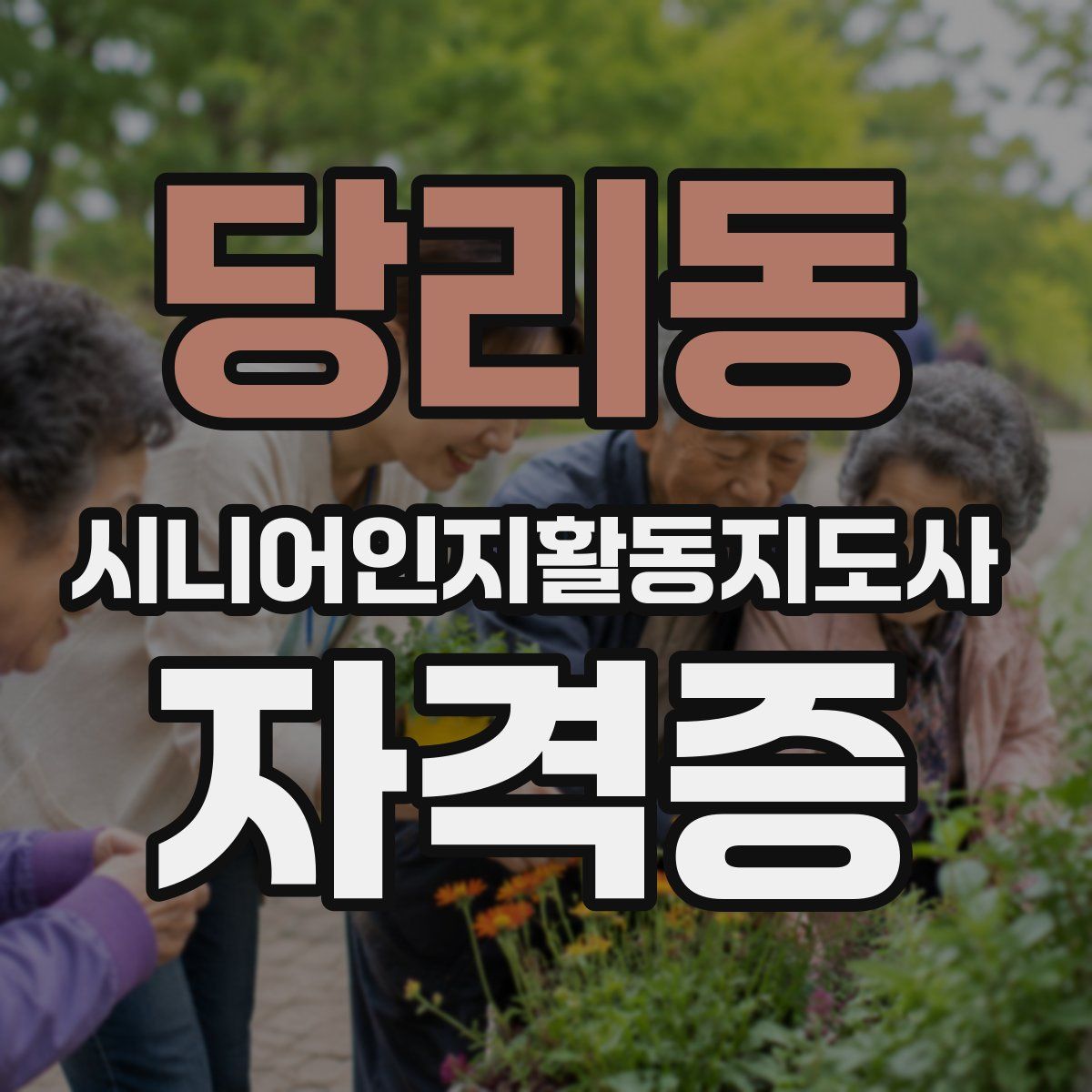 당리동 시니어인지활동지도사 자격증