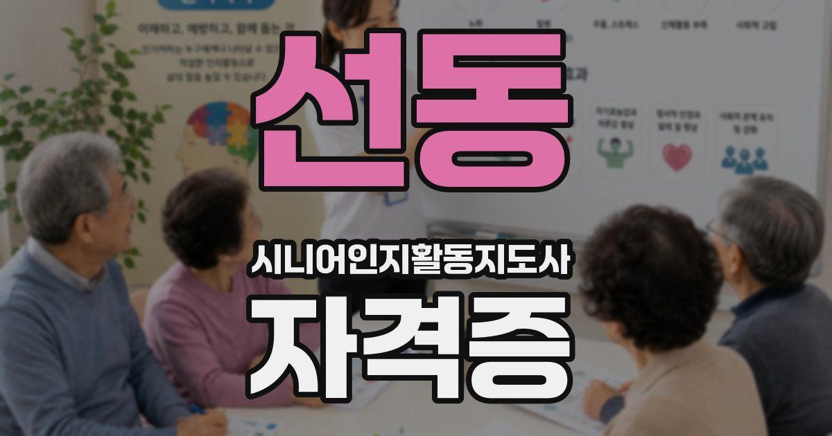 선동 시니어인지활동지도사 자격증