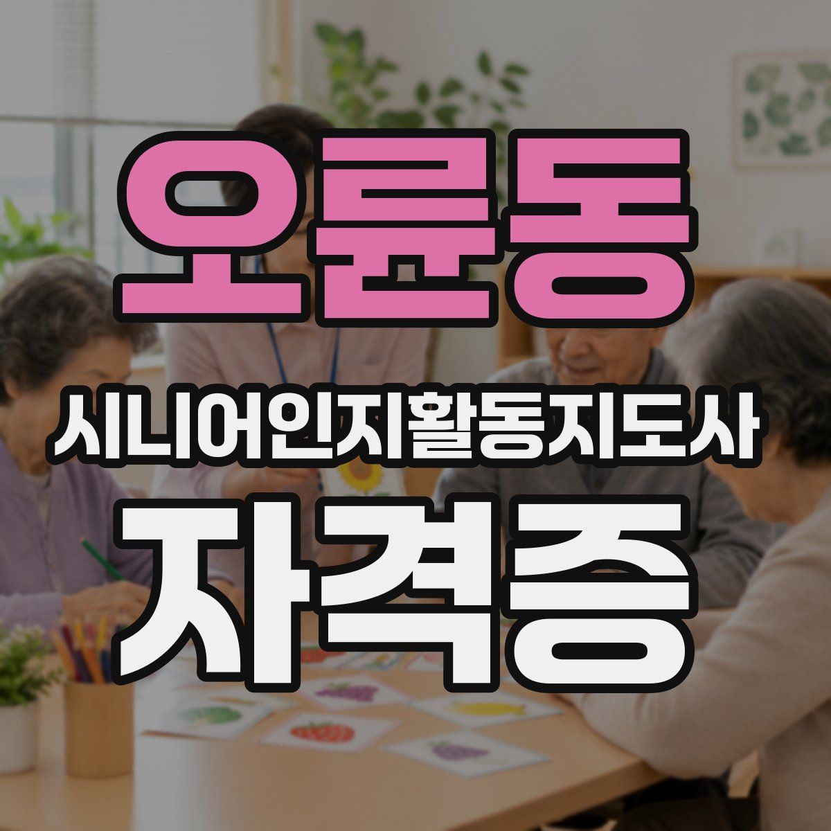 오륜동 시니어인지활동지도사 자격증