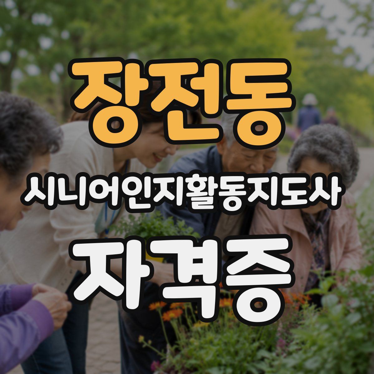 장전동 시니어인지활동지도사 자격증