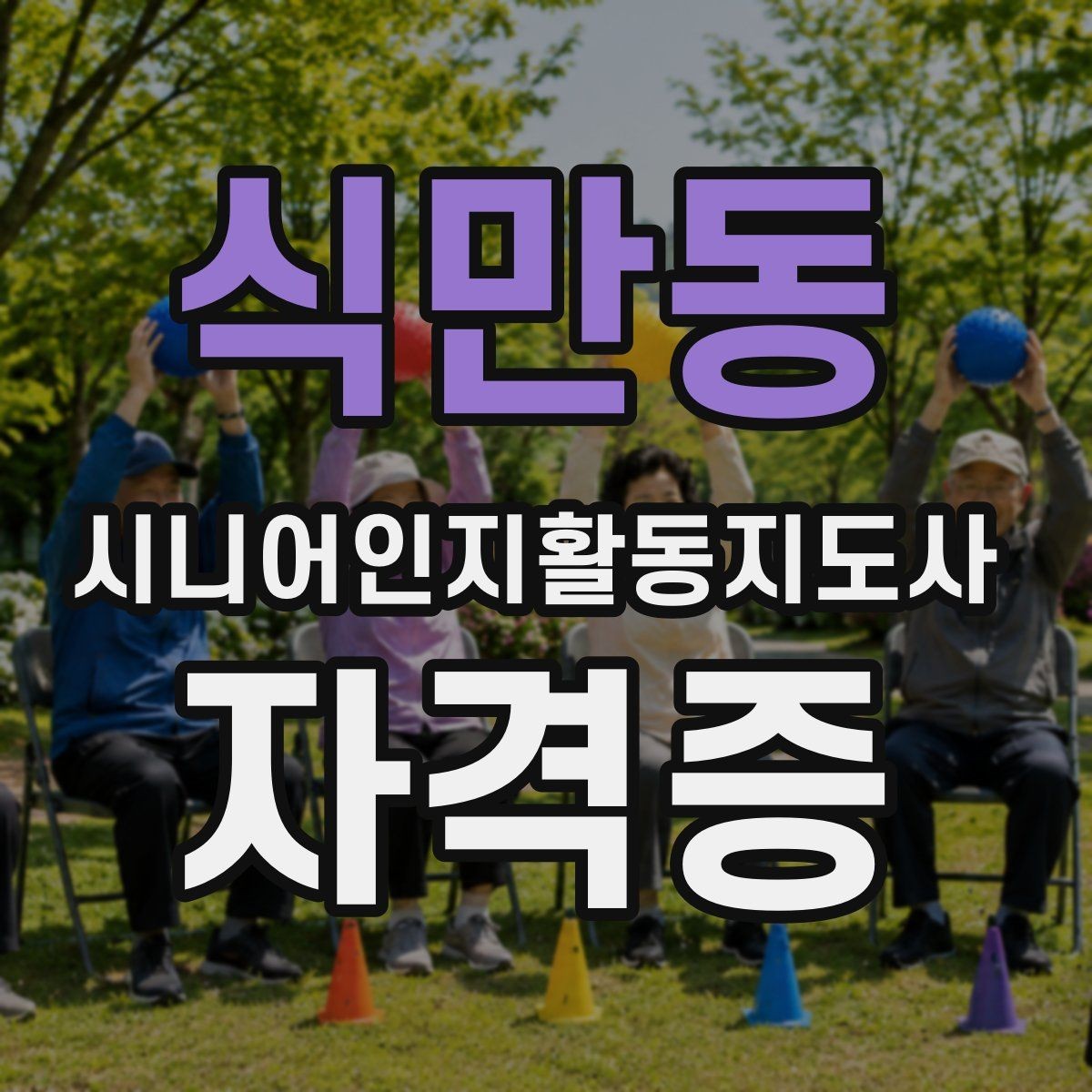 식만동 시니어인지활동지도사 자격증 공부 방법과 일정 짜는 법