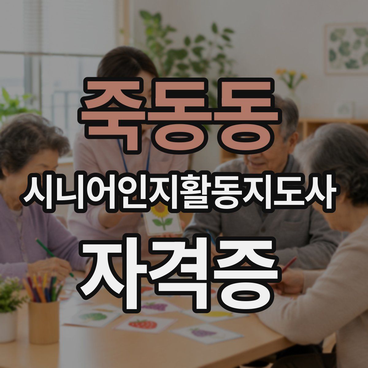 죽동동 시니어인지활동지도사 자격증