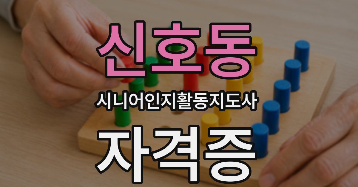 신호동 시니어인지활동지도사 자격증
