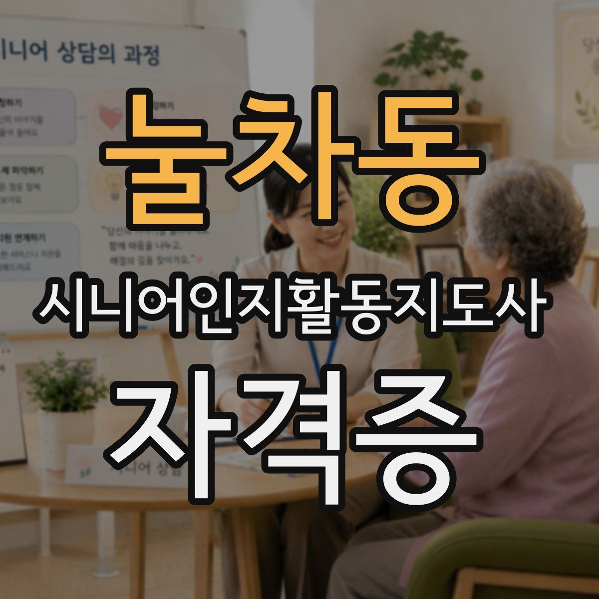 눌차동 시니어인지활동지도사 자격증