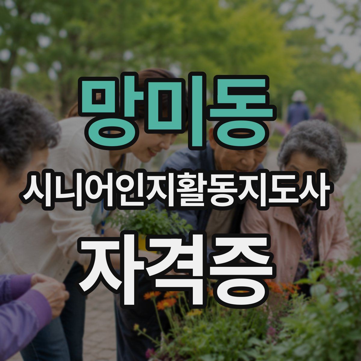 망미동 시니어인지활동지도사 자격증