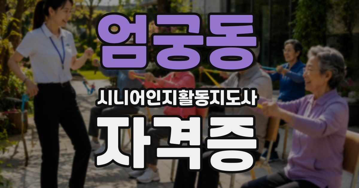엄궁동 시니어인지활동지도사 자격증