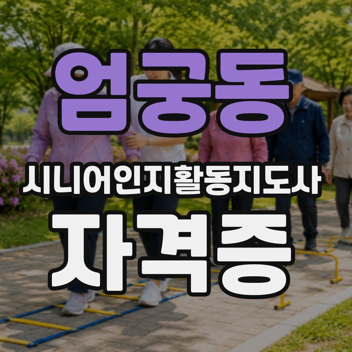 엄궁동 시니어인지활동지도사 자격증