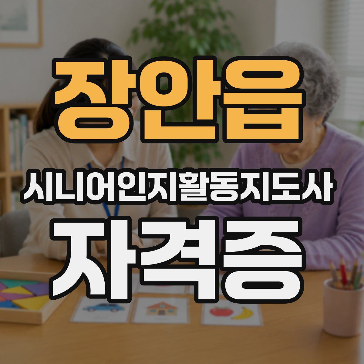 장안읍 시니어인지활동지도사 자격증