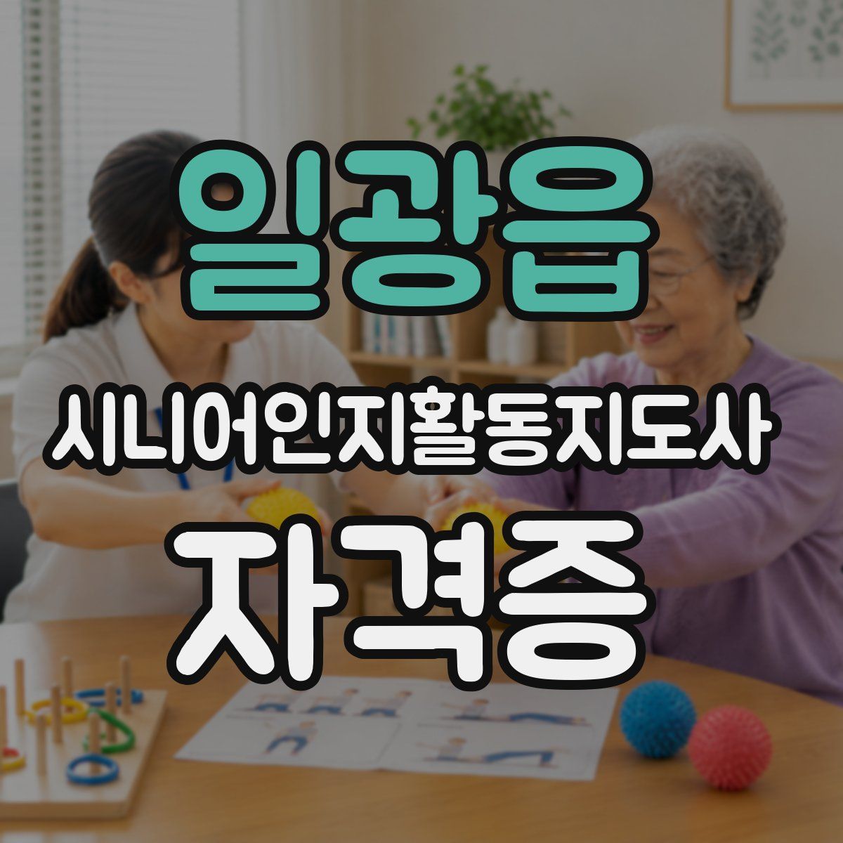 일광읍 시니어인지활동지도사 자격증