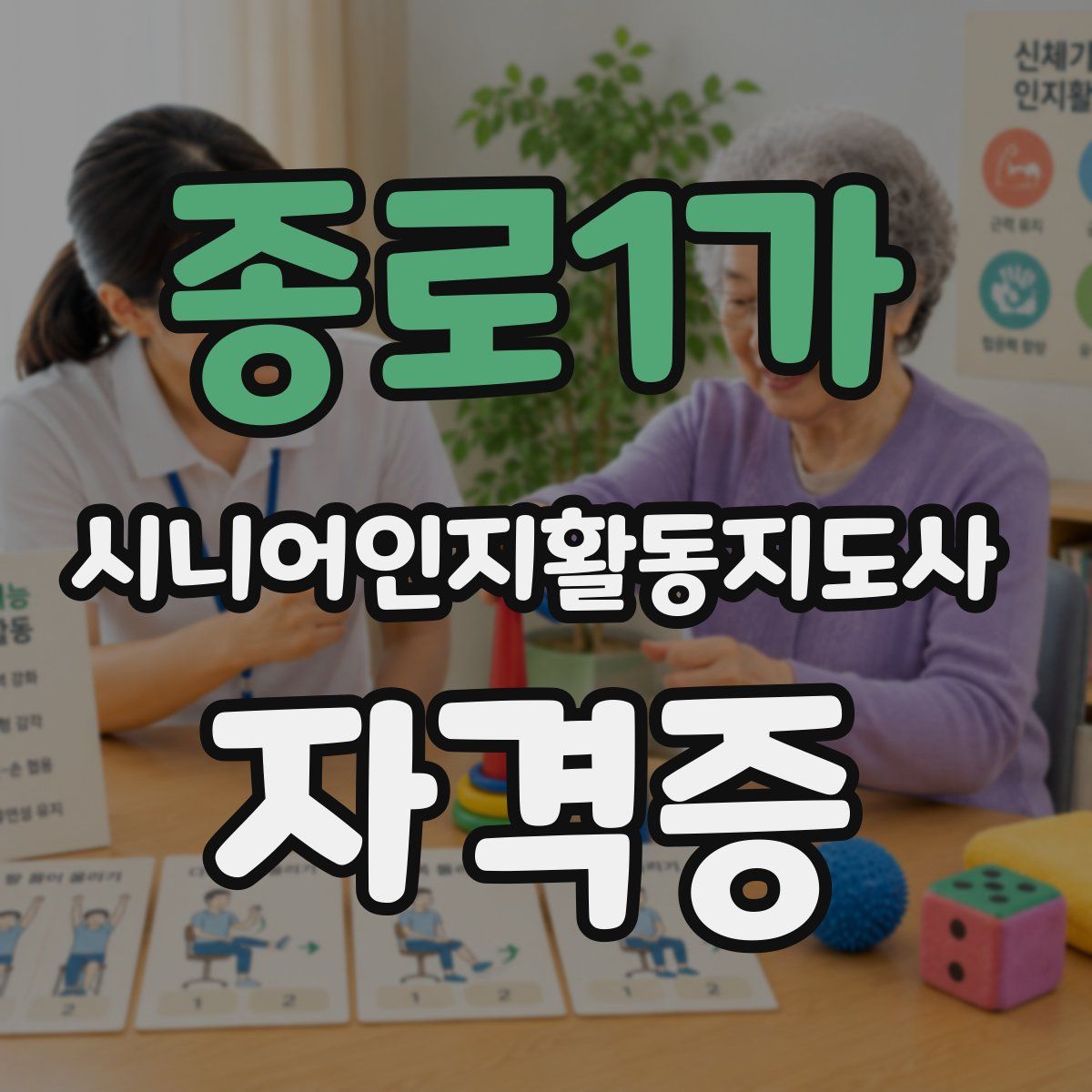 종로1가 시니어인지활동지도사 자격증