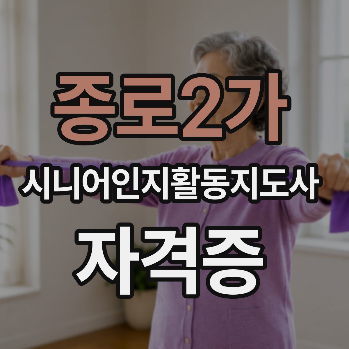 종로2가 시니어인지활동지도사 자격증