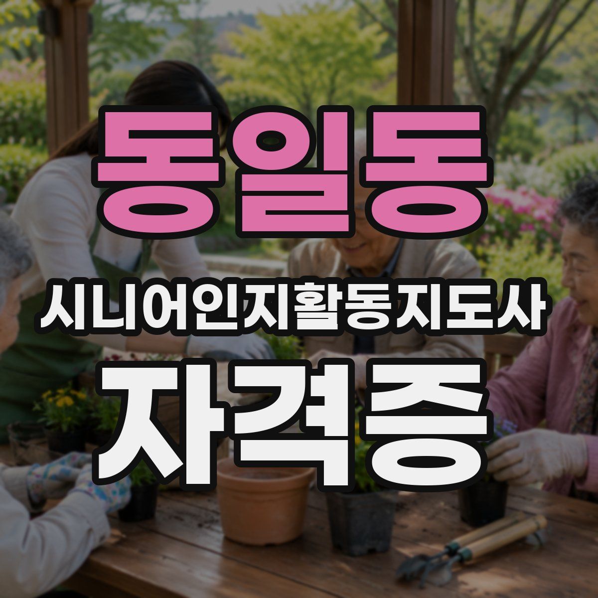 동일동 시니어인지활동지도사 자격증
