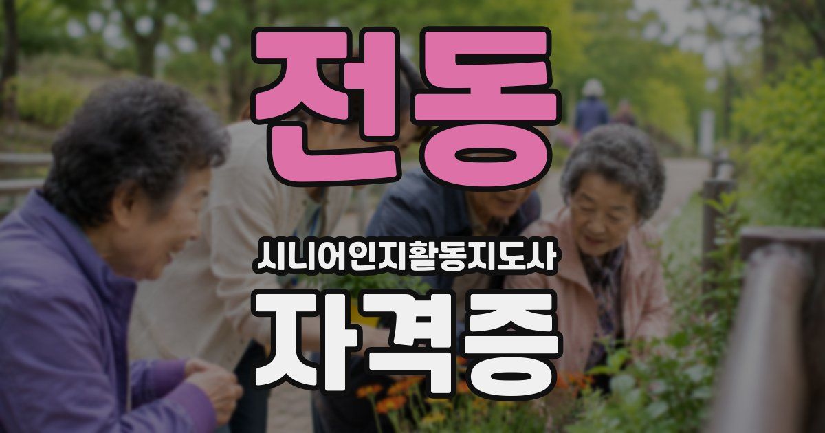 전동 시니어인지활동지도사 자격증