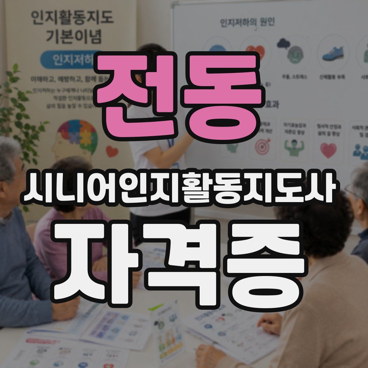 전동 시니어인지활동지도사 자격증
