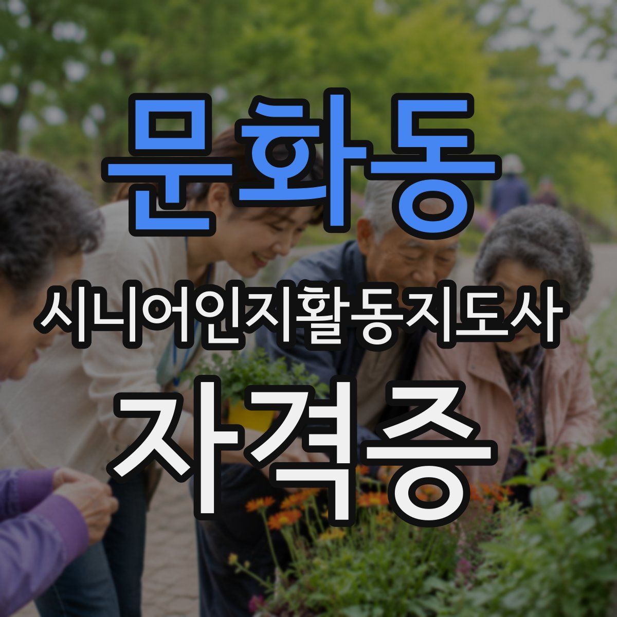 문화동 시니어인지활동지도사 자격증