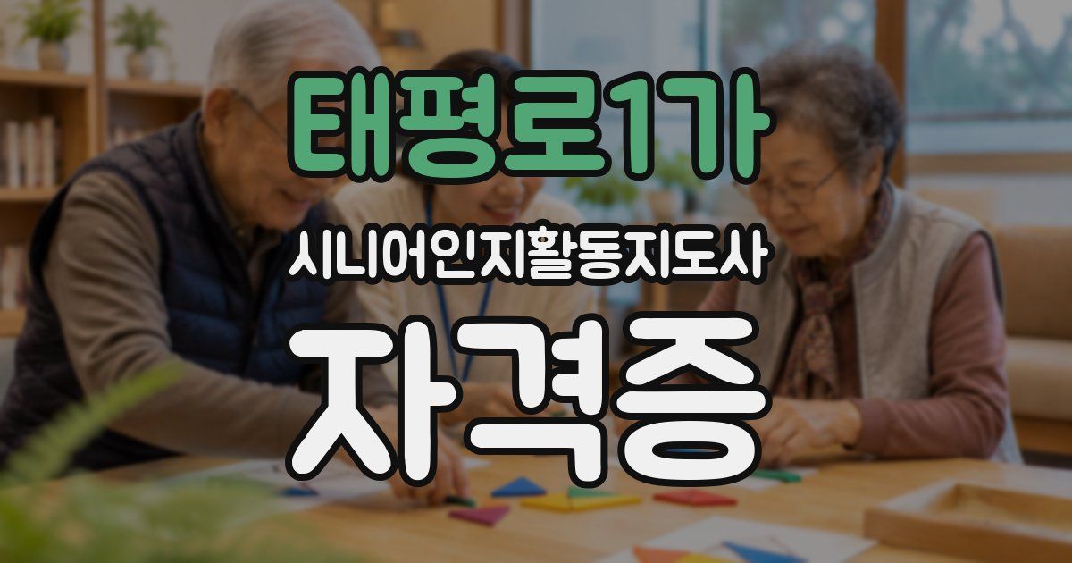 태평로1가 시니어인지활동지도사 자격증