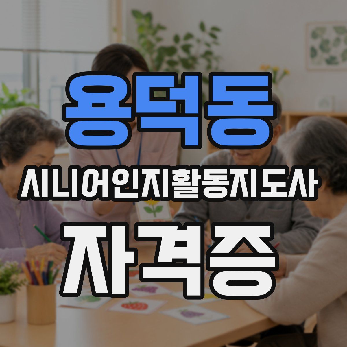 용덕동 시니어인지활동지도사 자격증