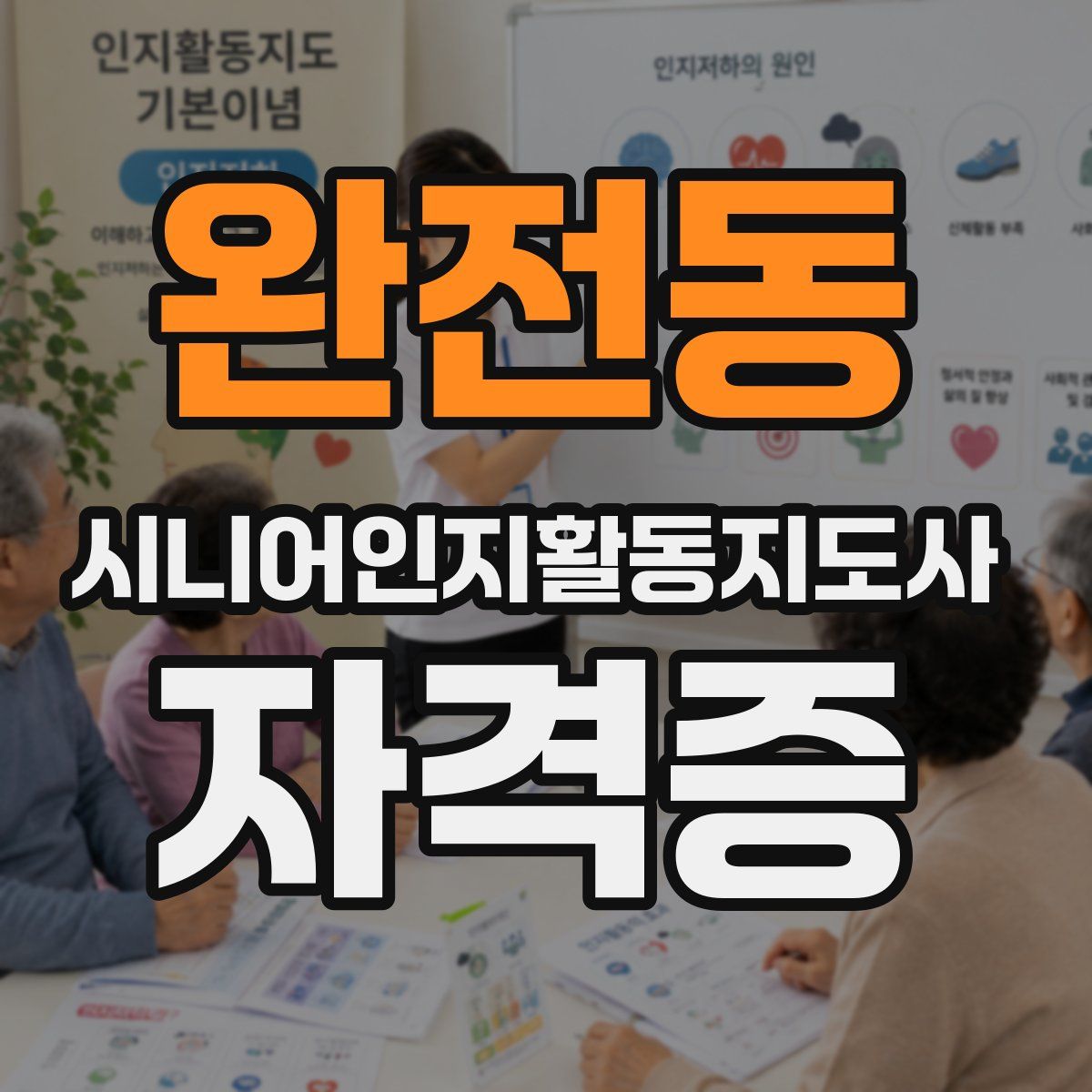 완전동 시니어인지활동지도사 자격증