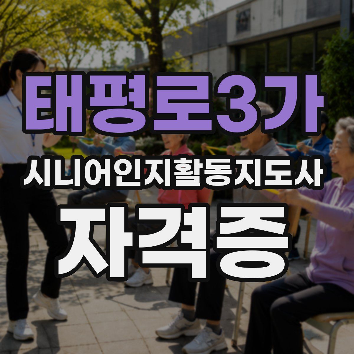 태평로3가 시니어인지활동지도사 자격증