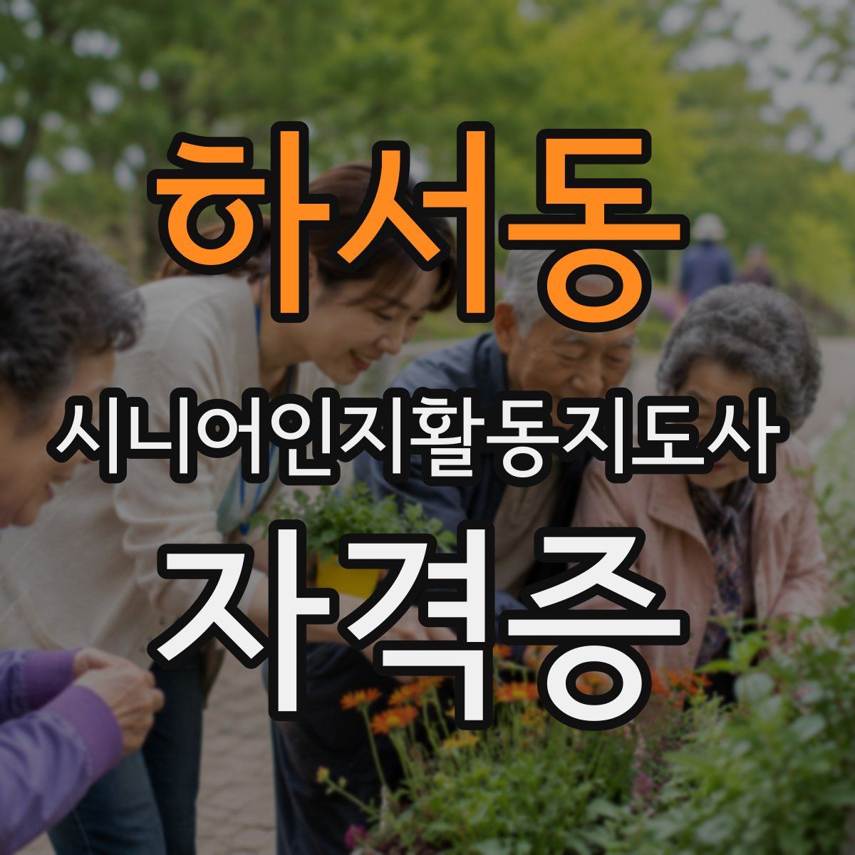 하서동 시니어인지활동지도사 자격증