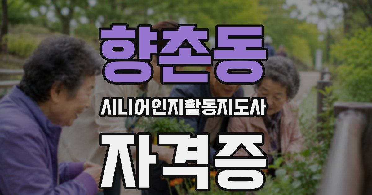 향촌동 시니어인지활동지도사 자격증