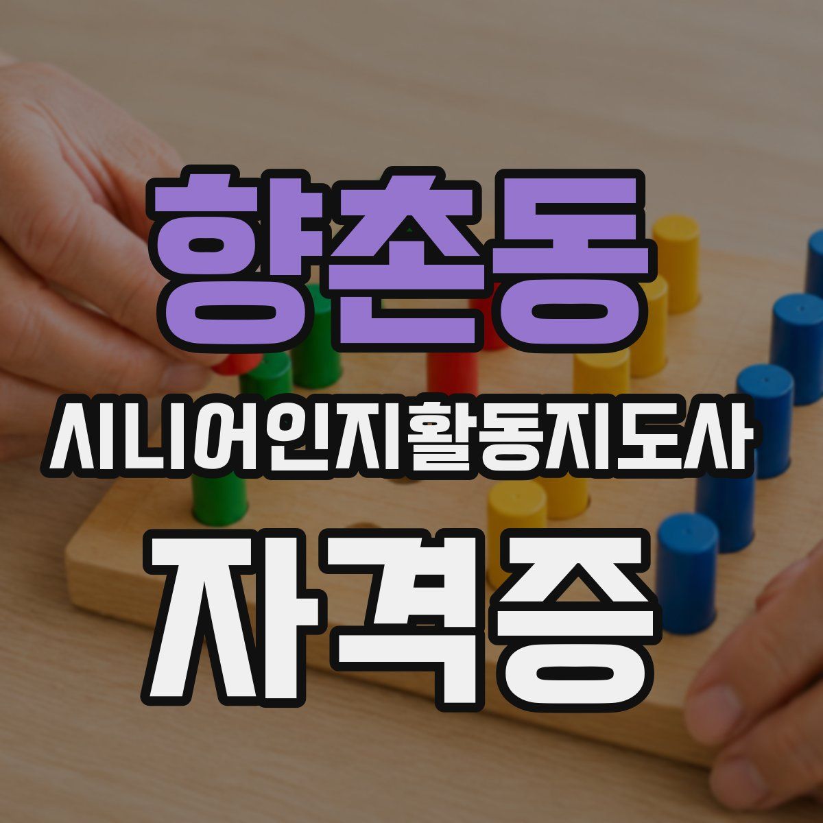 향촌동 시니어인지활동지도사 자격증