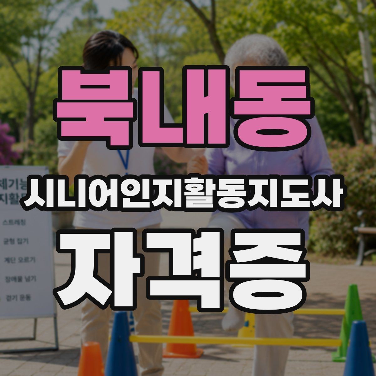 북내동 시니어인지활동지도사 자격증 학습 난이도와 대비 방법
