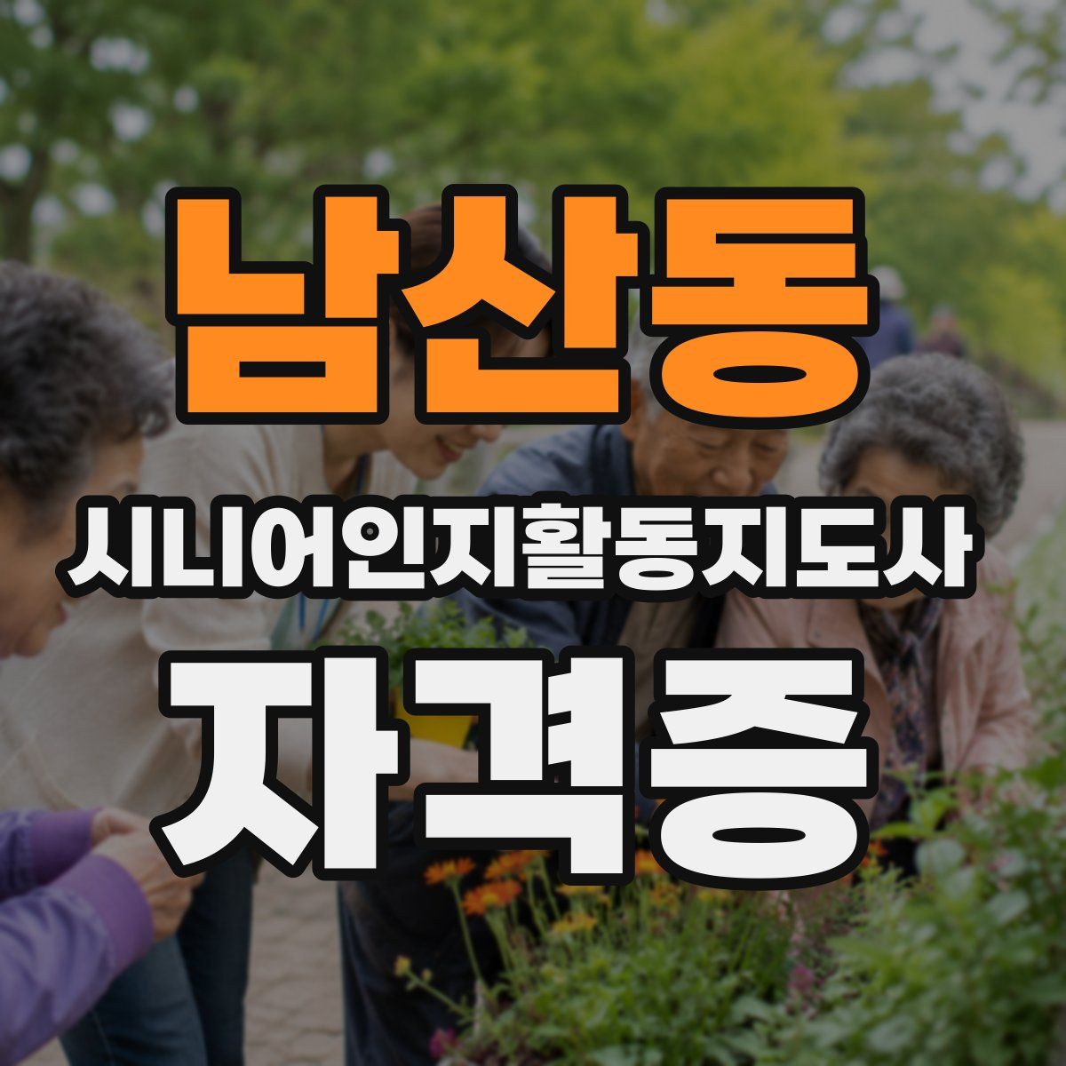 남산동 시니어인지활동지도사 자격증
