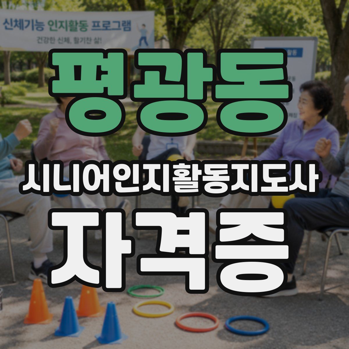 평광동 시니어인지활동지도사 자격증