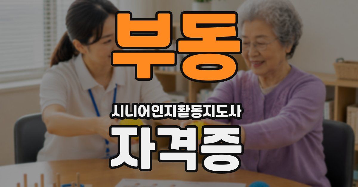 부동 시니어인지활동지도사 자격증
