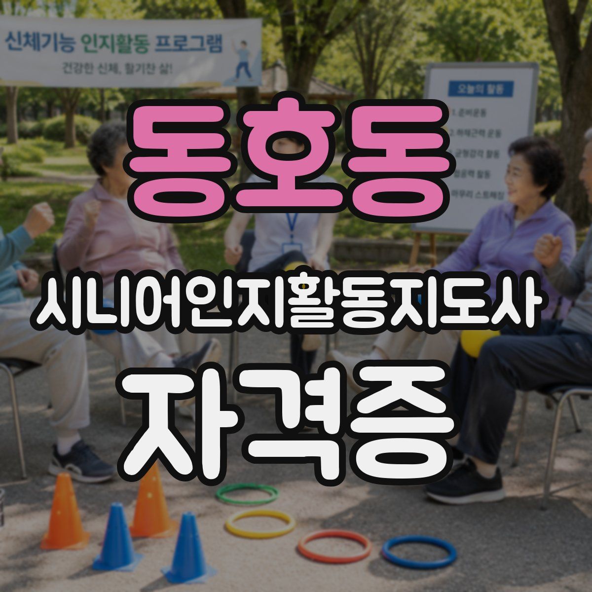 동호동 시니어인지활동지도사 자격증