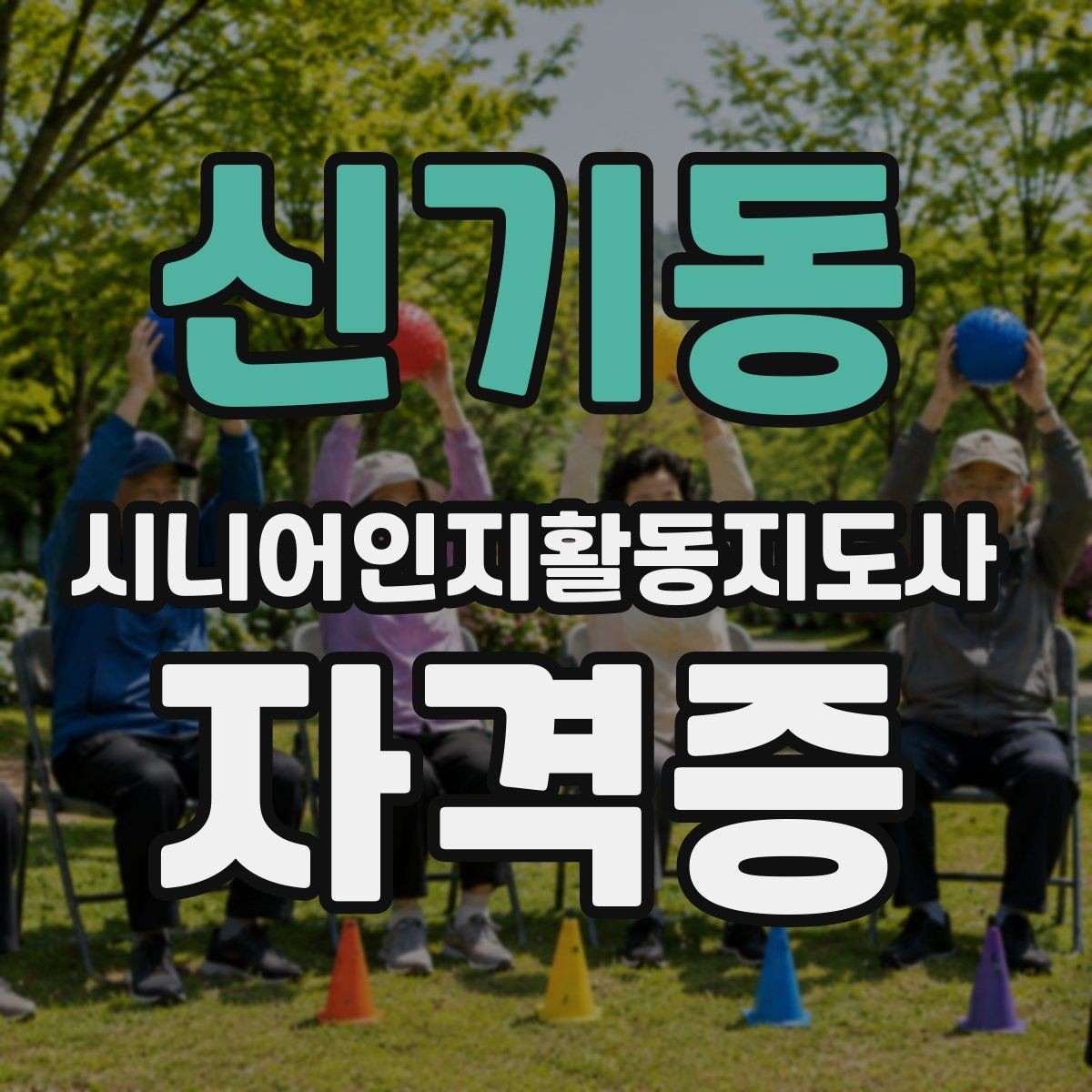 신기동 시니어인지활동지도사 자격증 취득 후기에서 많이 언급되는 부분