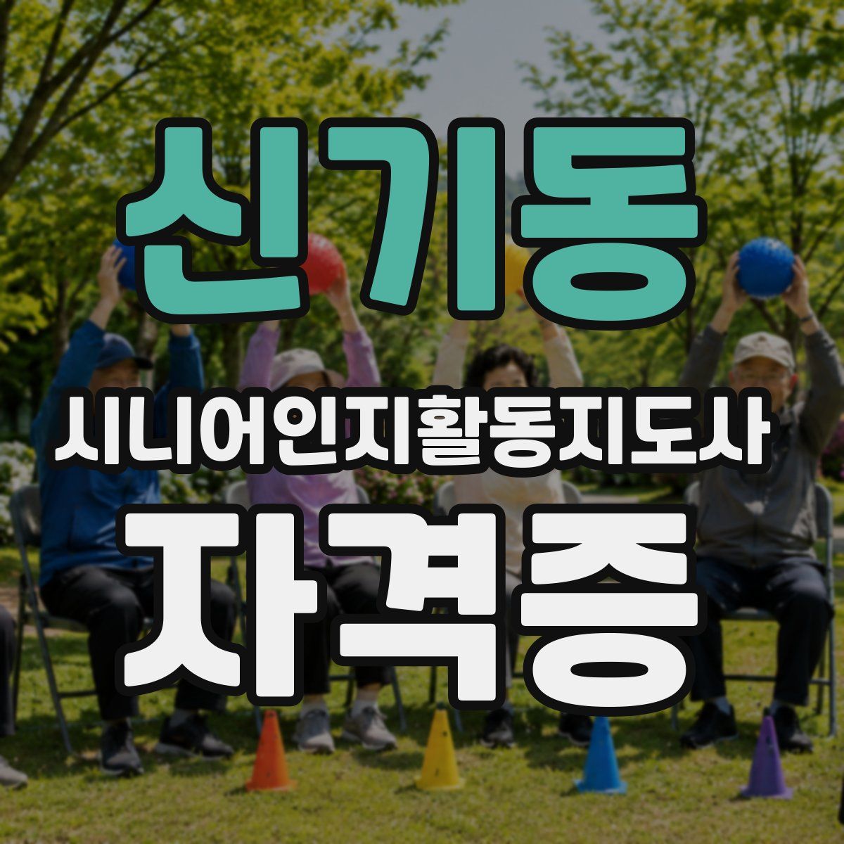 신기동 시니어인지활동지도사 자격증