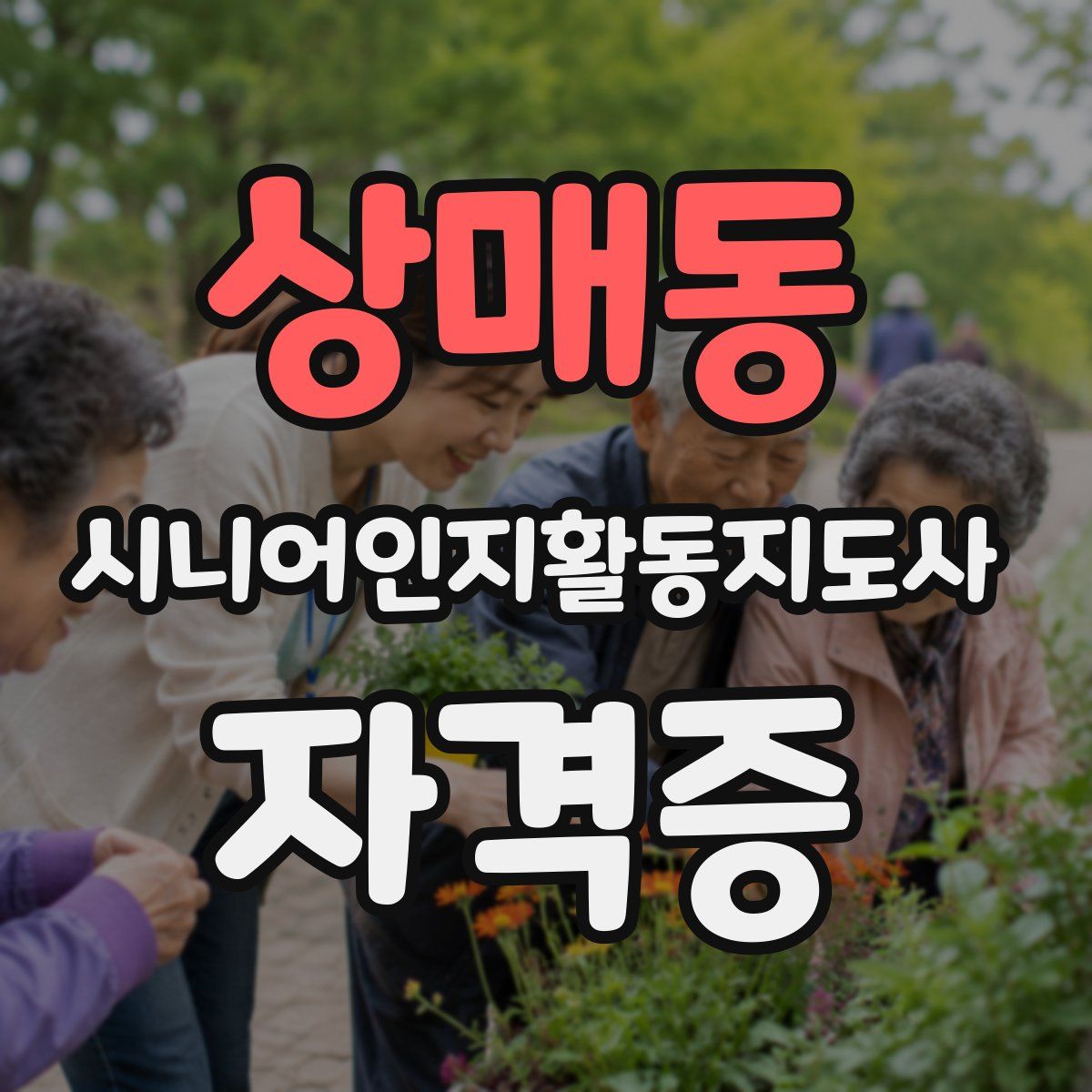 상매동 시니어인지활동지도사 자격증